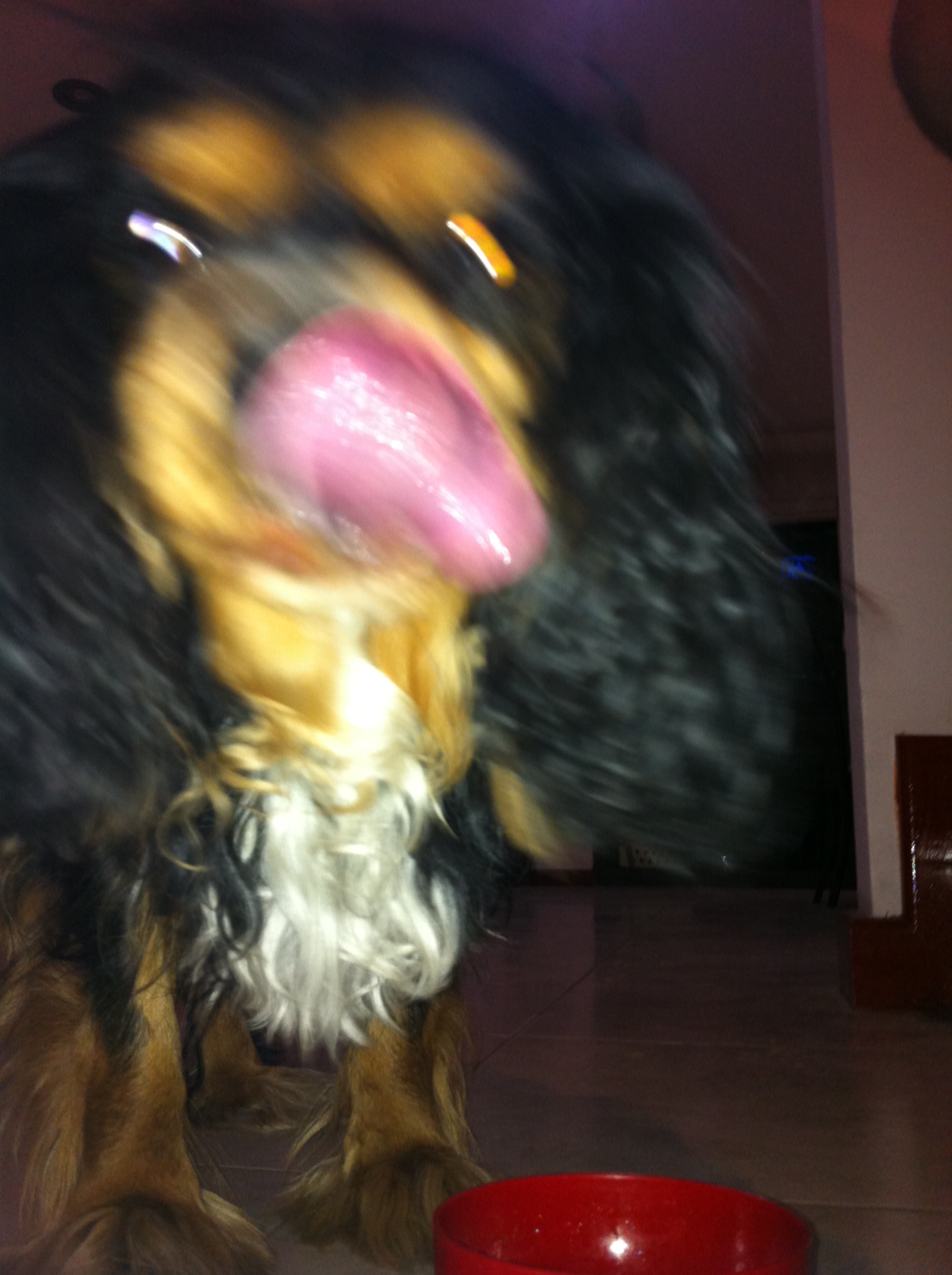 Chutny gulasik