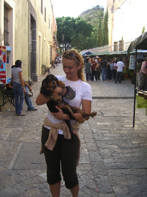 12) Najradsej sa nosi