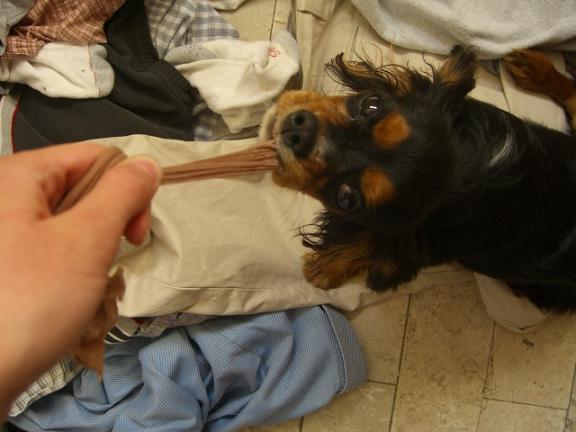 Pustis to!