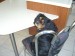CIMG7421